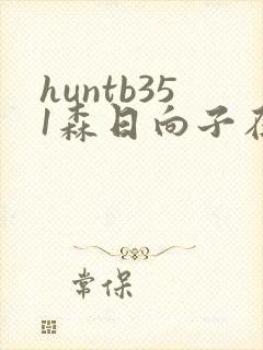 huntb351森日向子在线播放