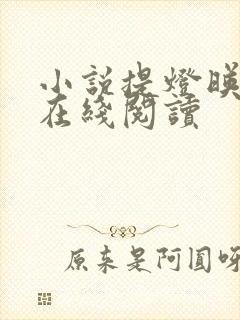 小说提灯映桃花在线阅读