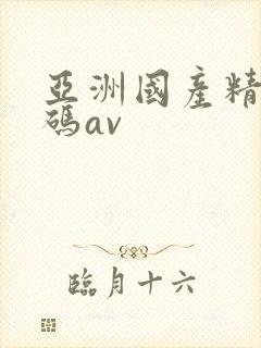 亚洲国产精品乱码av