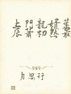 上门龙婿叶辰叶辰萧初然最新