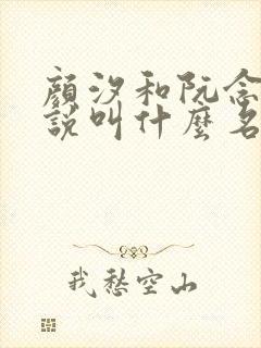 颜汐和阮念初小说叫什么名字