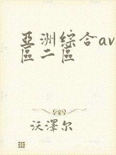 亚洲综合av一区二区