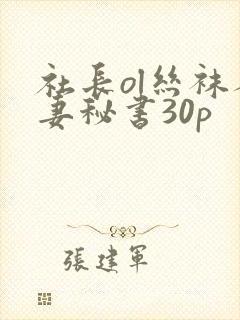 社长ol丝袜人妻秘书30p封面