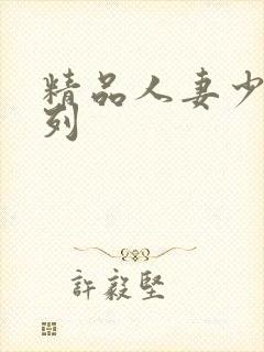 精品人妻少妇系列