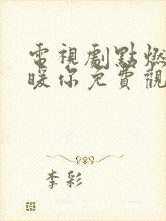 电视剧点燃我温暖你免费观看全集高清封面