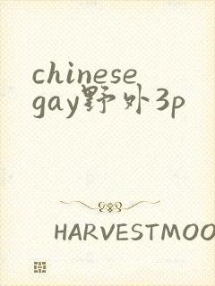 chinesegay野外3p