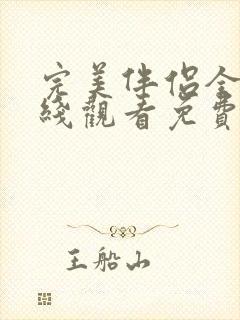 完美伴侣全集在线观看免费版