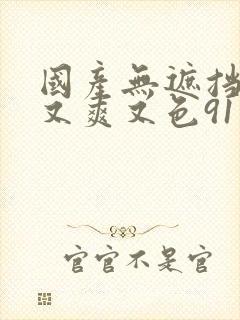 国产无遮挡又黄又爽又色91