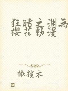 狂赌之渊无删减樱花动漫