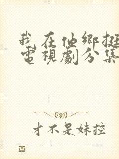 我在他乡挺好的电视剧分集剧情介绍