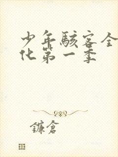 少年骇客全面进化第一季