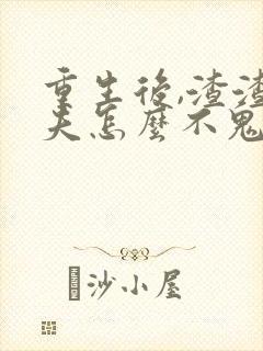 重生后,渣渣前夫怎么不鬼混了免费阅读