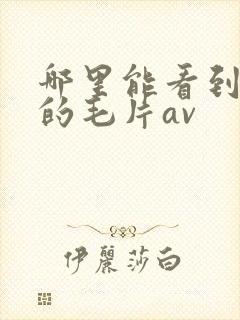 哪里能看到免费的毛片av