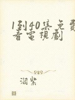 1到40集免费看电视剧