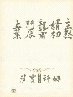 上门龙婿主人公叶辰萧初然