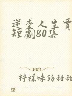 逆袭人生贾二虎短剧80集