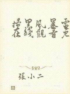 扫黑风暴电视剧在线观看免费25集