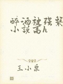 醉酒被强系列 小说高h