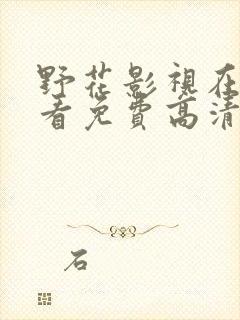 野花影视在线观看免费高清完整版