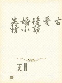先婚后爱古代言情小说封面