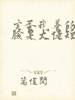 完蛋我养的小白脸是大佬短剧全集