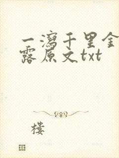 一泻千里金银花露原文txt封面