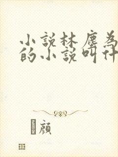 小说林尘为主角的小说叫什么名字