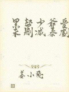 黑帮少爷爱上我未删减泰剧
