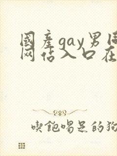 国产gay男同网站入口在线观看