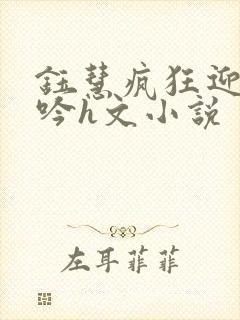 钰慧疯狂迎合呻吟h文小说
