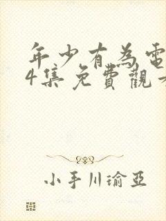 年少有为电视剧4集免费观看封面