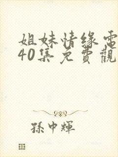 姐妹情缘电视剧40集免费观看