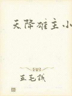 天降雄主小说封面