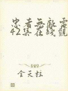 忠者无敌电视剧42集在线观看