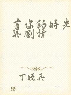 有你的时光里分集剧情