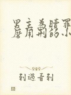 男主为赎罪任折磨用刑的小说