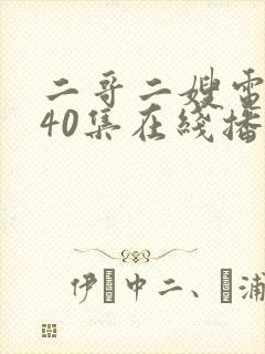 二哥二嫂电视剧40集在线播放封面