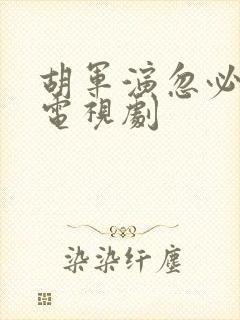胡军演忽必烈的电视剧