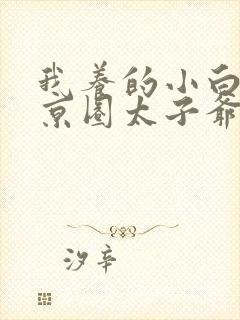 我养的小白脸是京圈太子爷大结局