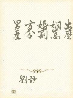 男方婚姻出轨财产分割怎么分