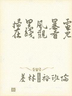 扫黑风暴电视剧在线观看免费完整版策驰