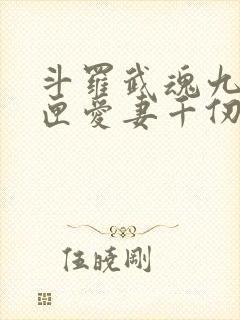 斗罗武魂九仙剑匣爱妻千仞雪封面