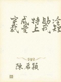 穿成特助冷艳总裁爱上我短剧免费观看封面