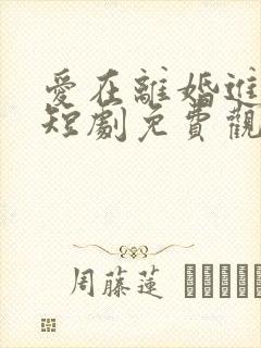 爱在离婚进行时短剧免费观看全集封面