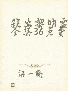 杀出黎明电视剧全集36免费观看