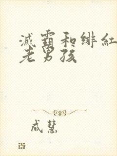 灭霸和绯红女巫老男孩
