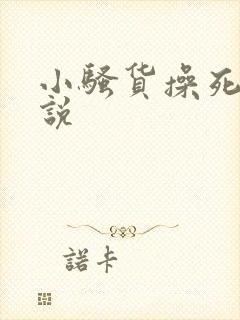 小骚货操死你小说