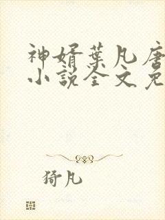 神婿叶凡唐若雪小说全文免费阅读