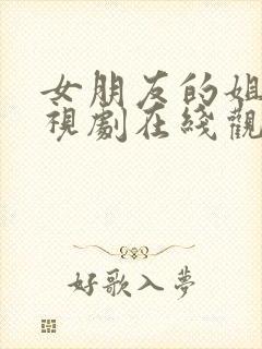 女朋友的姐姐电视剧在线观看