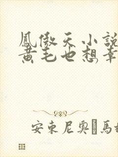 凤傲天小说里的黄毛也想幸福